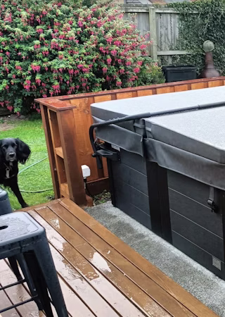 David S. - Christchurch